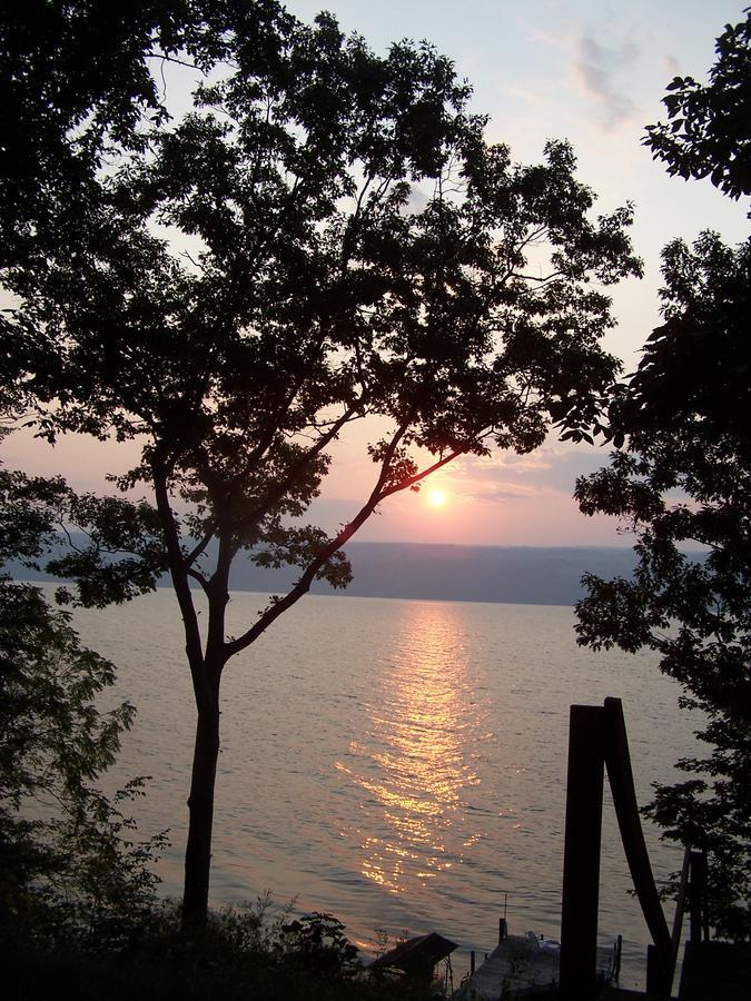Sunrise Landing Bed And Breakfast Dundee Exteriör bild